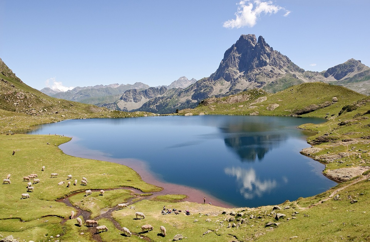 El lac Gentau con el Pic du Midi d’Ossau reflejado en el agua y vacas pastando en la orilla.